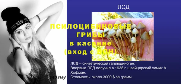 твердый Струнино