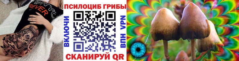Псилоцибиновые грибы мицелий  где купить наркоту  блэк спрут ССЫЛКА  Баксан 
