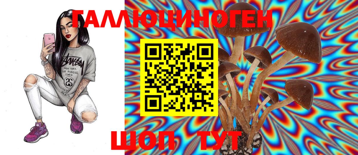 Галлюциногенные грибы Psilocybine cubensis  Вход с VPN  Баксан 
